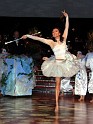Opernball 2009   011